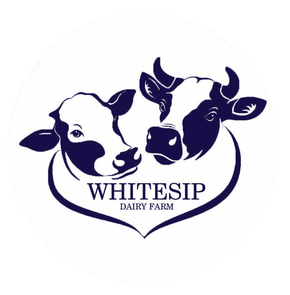 Logo Whitesip Dairy
